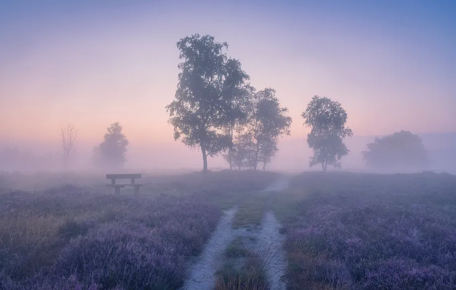 Balloo
